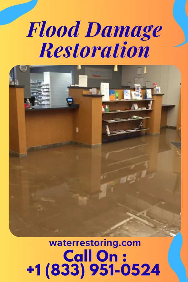 Flood Damage Restoration in Craigsville, VA