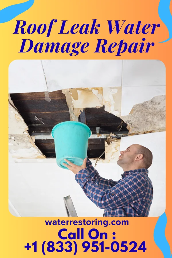 Roof Leak Water Damage Repair in Craigsville, VA