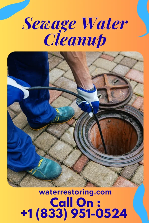 Sewage Water Cleanup in Craigsville, VA